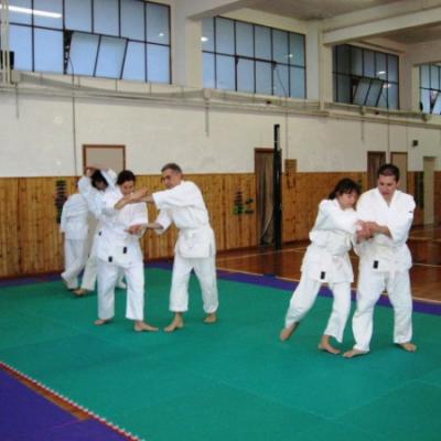 Aikido3 1